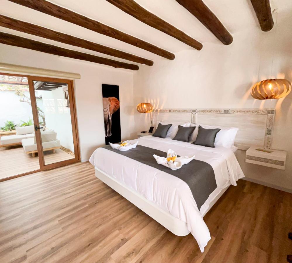 Suite Terrace