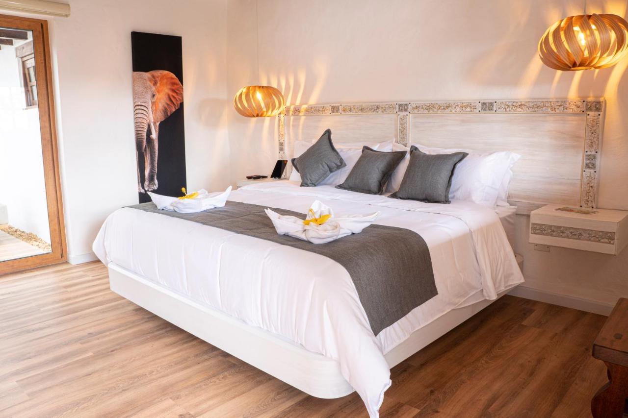 Suite Terrace